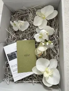 sassyフラワーイヤーカフ+ピアス