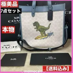 COACH レキシー 2WAY コーチ トートバック ショルダーバッグ 7点