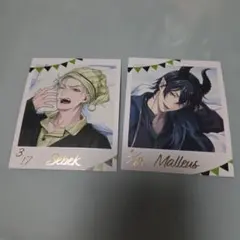 ツイステ フォト風カードコレクション くつろぎマイルーム マレウス　セベク