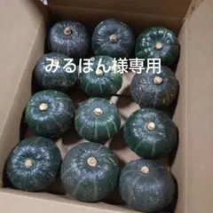 みるぽん様専用出品