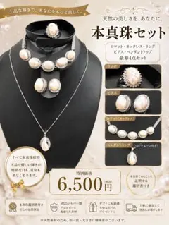本真珠 豪華4点セット ネックレス リング ピアスのサムネイル