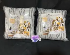 Item thumbnail for item e2813a3a-3303-4a06-bd06-c9962d4258ec