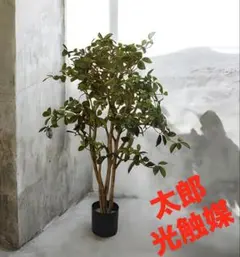 光触媒 人工観葉植物 ウォールグリーン フェイクグリーン アセビ210