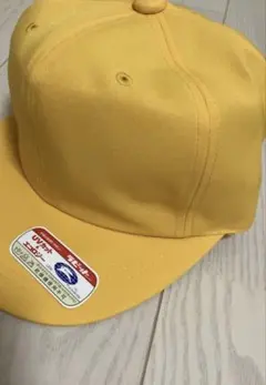 Item thumbnail for item 4c2b175e-78c5-40c7-9a1f-73e074c366d1