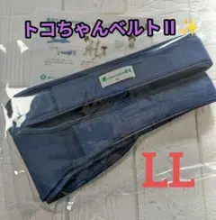 Item thumbnail for item f1e44acb-276c-4696-8cbe-f78eaac65b8c