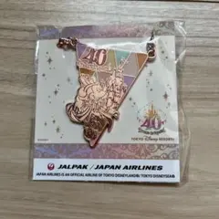 東京ディズニーリゾート 40周年記念バッグチャーム