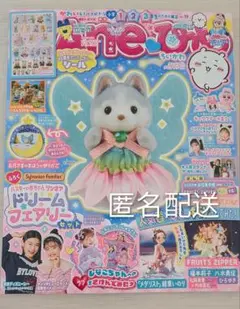Ａｎｅひめ vol.19　雑誌のみ