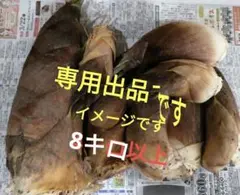 ♡三日月 杏朱♡様専用タケノコ