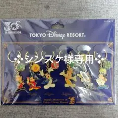 東京ディズニーリゾート３０周年 キーホルダーセット