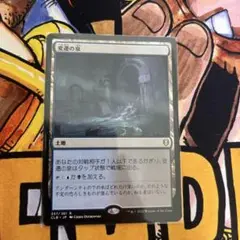変遷の泉　mtg