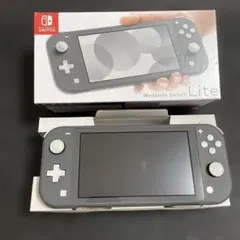 Nintendo Switch Lite グレー ケース付きのサムネイル