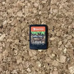 Minecraft Nintendo Switch版 マイクラフト　13352