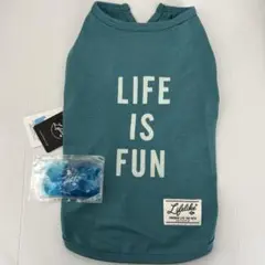 Lifelike ICEライフイズタンク 3号 ターコイズのサムネイル