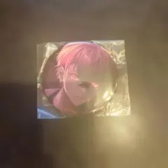 いれいす　ないこ　アンチヒーロー　最終値下げ