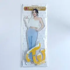 【TWICEくじ】A賞 BIGアクリルスタンド ファミリーマート限定 ジヒョ