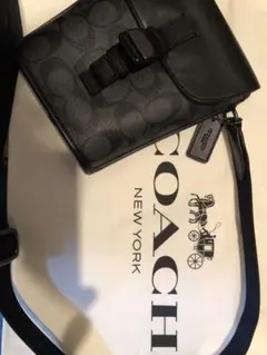 Item thumbnail for item 4b604bcd-37c3-4d40-a4bd-083543782f25