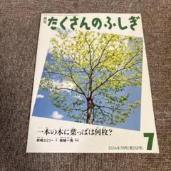 たまごっち様 リクエスト 3点 まとめ商品