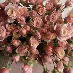 ★メグ様　専用★