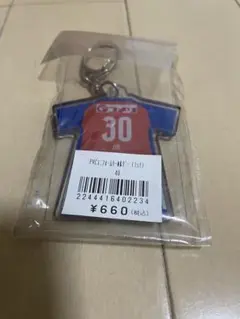 アルビレックス新潟 奥村仁 キーホルダー