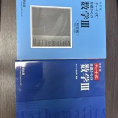 基礎からの数学III 改訂版