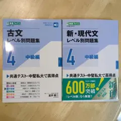 ☆ちま様専用☆古文・新現代文レベル別問題集 4 中級編