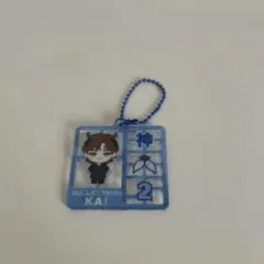 超特急REAL?ツアーランダムプラスチック風キーホルダーカイ