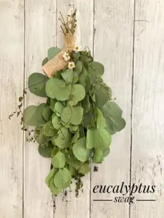 EUCALYPTUS swag❤︎