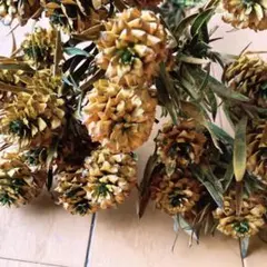 CHISE様 リクエスト 2点 まとめ商品