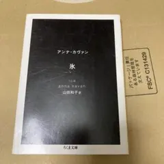 アンナ・カヴァン