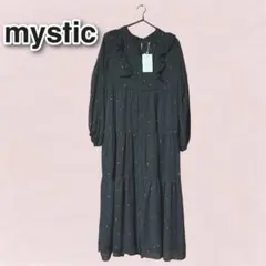 【タグ付未使用】mystic シアー ドット柄 ロングワンピース Fサイズ 黒