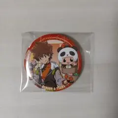 リボーン ラッキー缶バッジ 沢田綱吉　12個セット 家庭教師ヒットマンREBORN! ラッキー缶バッジ くじ 沢田綱吉 3点セット