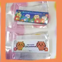 シーサーのおみやげやさん　ちいかわ　マグネット