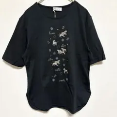【新品タグ付】KAZAMIDORI カザミドリ　ゼブラ刺繍 カットソー M 黒のサムネイル