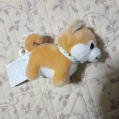 豆柴 4つ葉のクローバーぬいぐるみ