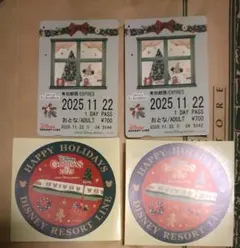 【使用済】ディズニーリゾートライン 2025 クリスマス フリー切符