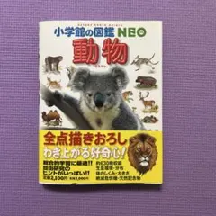 Item thumbnail for item 5fa33b36-7228-496b-990c-35d77cf1b3b4