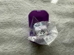 bt21ぷくっとリング　BTS