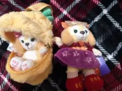 香港ディズニー＆上海ディズニー　クッキーアン　2点セット