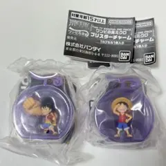 【新品・未開封】ワンピの実ミクロ　ブリスターチャーム　2種セット