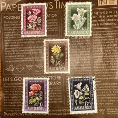 みかんちゃん(^-^)様 リクエスト 7点 まとめ商品