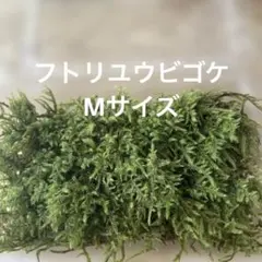 コケまる様 リクエスト 7点 まとめ商品