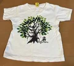 キッズ　ガジュマル Tシャツ 110のサムネイル