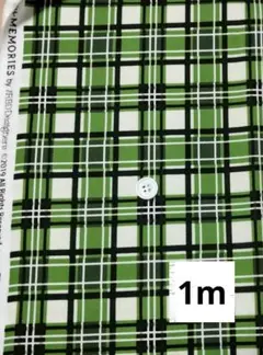 USAコットン　グリーンチェック柄　レトロ　Riley Blake　1m