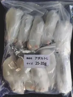 送料無料 冷凍マウスアダルトＬ100匹