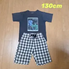恐竜プリント Tシャツとチェックパンツ 130cm