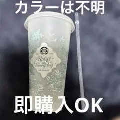2026ミステリーカラーチェンジングリユーザブルコールドカップ710ml