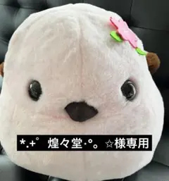 ふくふくシマちゃん 春うらら ぬいぐるみ 桜色しまゑのサムネイル