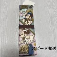 【未使用】ディズニーシー　20周年　ポータブルクッション