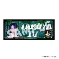 Item thumbnail for item 8d4571e3-9175-4a53-b8c0-0b102edb6b32