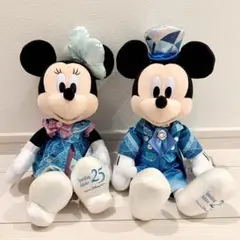 専用 東京ディズニーリゾートポストカード＆リゾートラインフリー